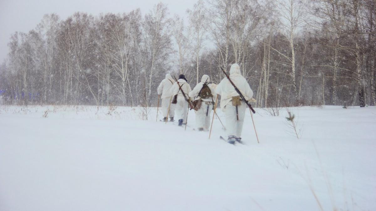 Лыжи промысловые "Таежные" осина  камус широкий