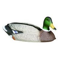 Чучело КРЯКВА утка полукорпусное мягкое
